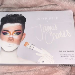 Morphs James Charles Mini Palette